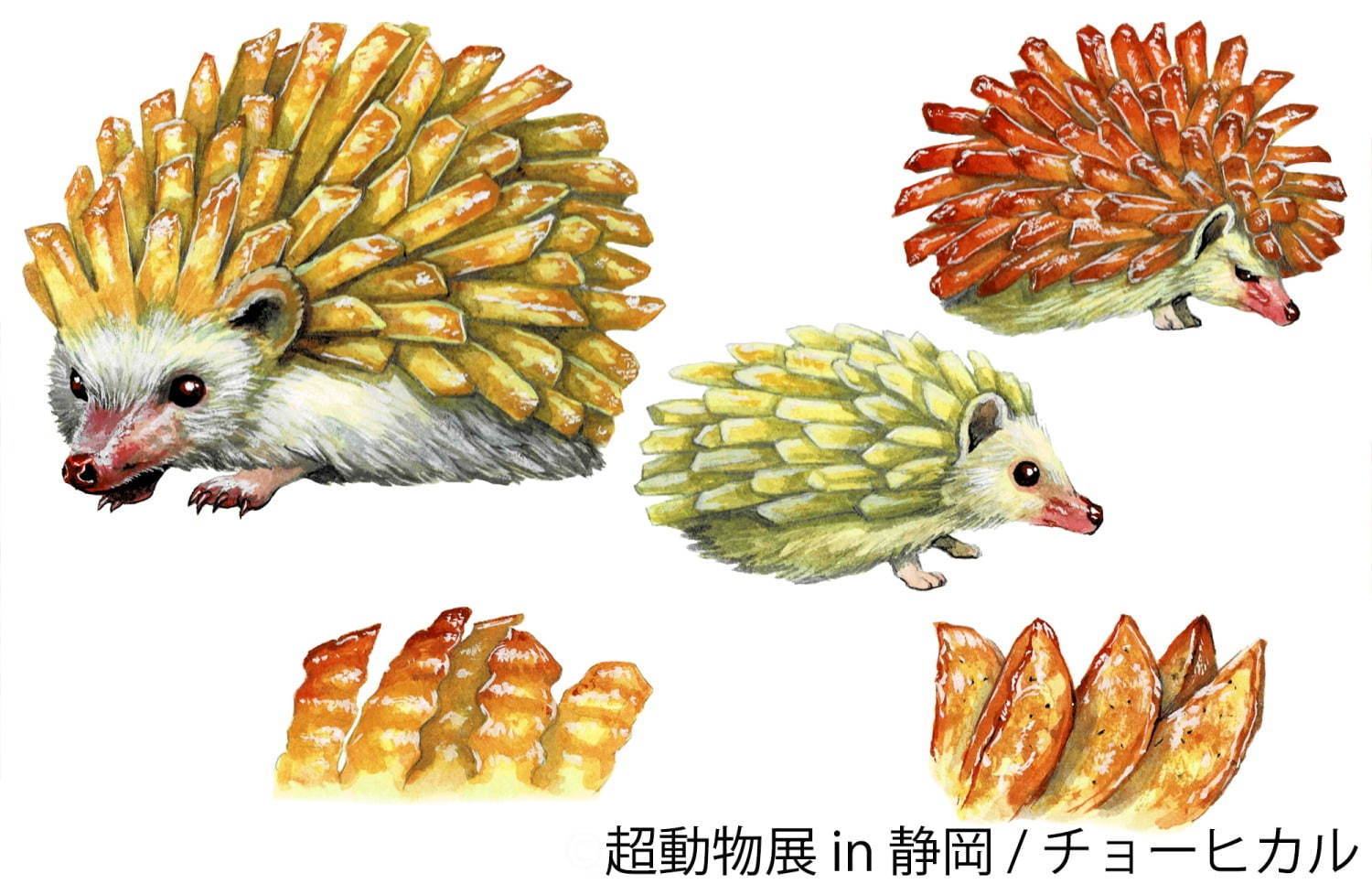 チョーヒカルの個展「超動物展」静岡パルコで、動物×食べ物イラストやリアルなボディペイント｜写真3