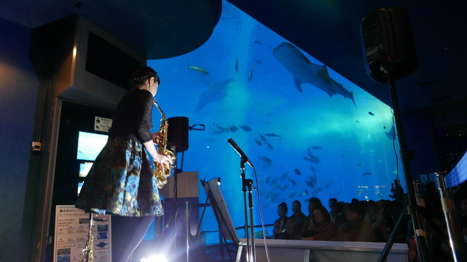 沖縄美ら海水族館「美ら海ナイトアクアリウム」ジンベエザメたちが泳ぐ“神秘的な海”、生演奏を聴きながら｜写真4