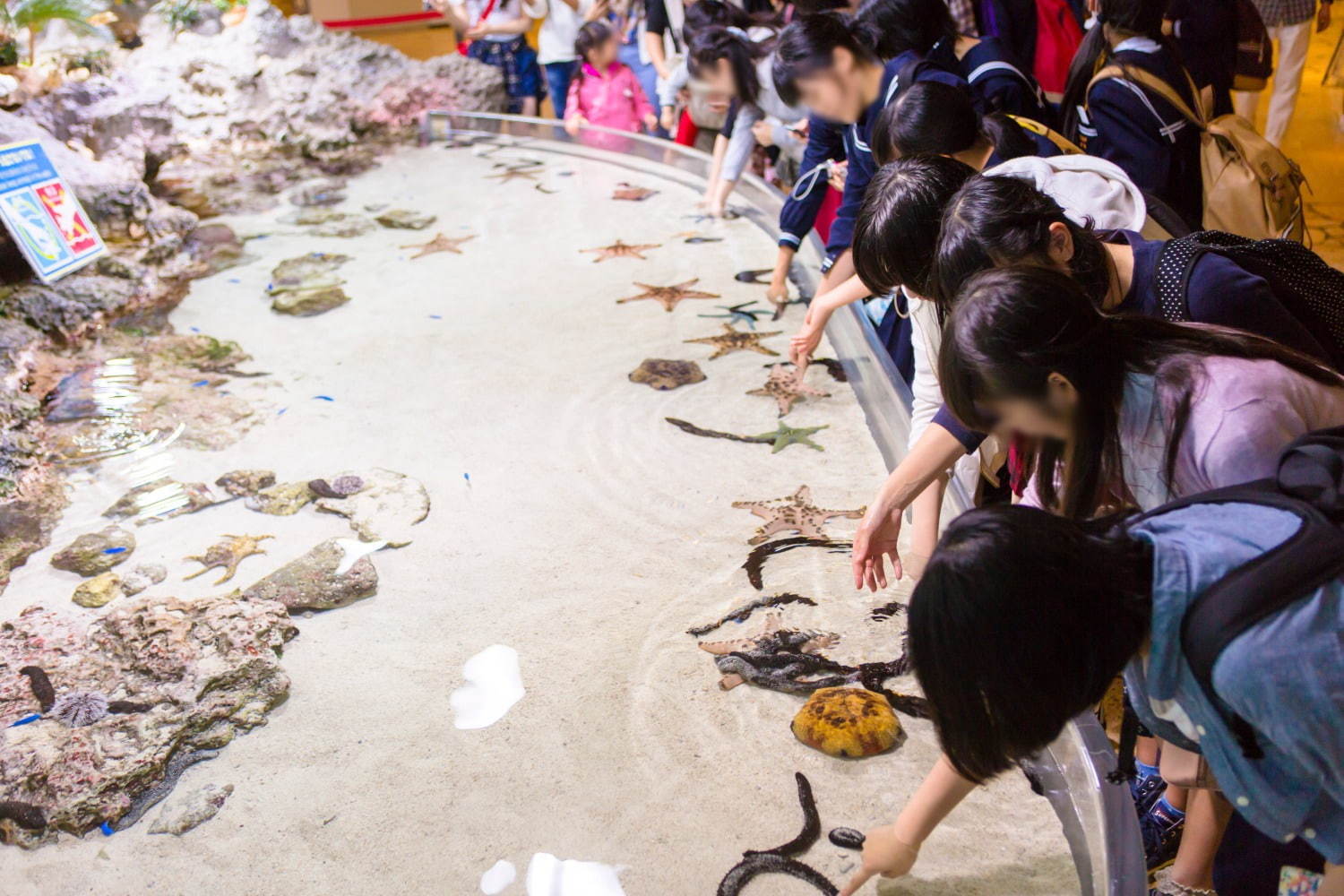 国営沖縄記念公園(海洋博公園)：沖縄美ら海水族館