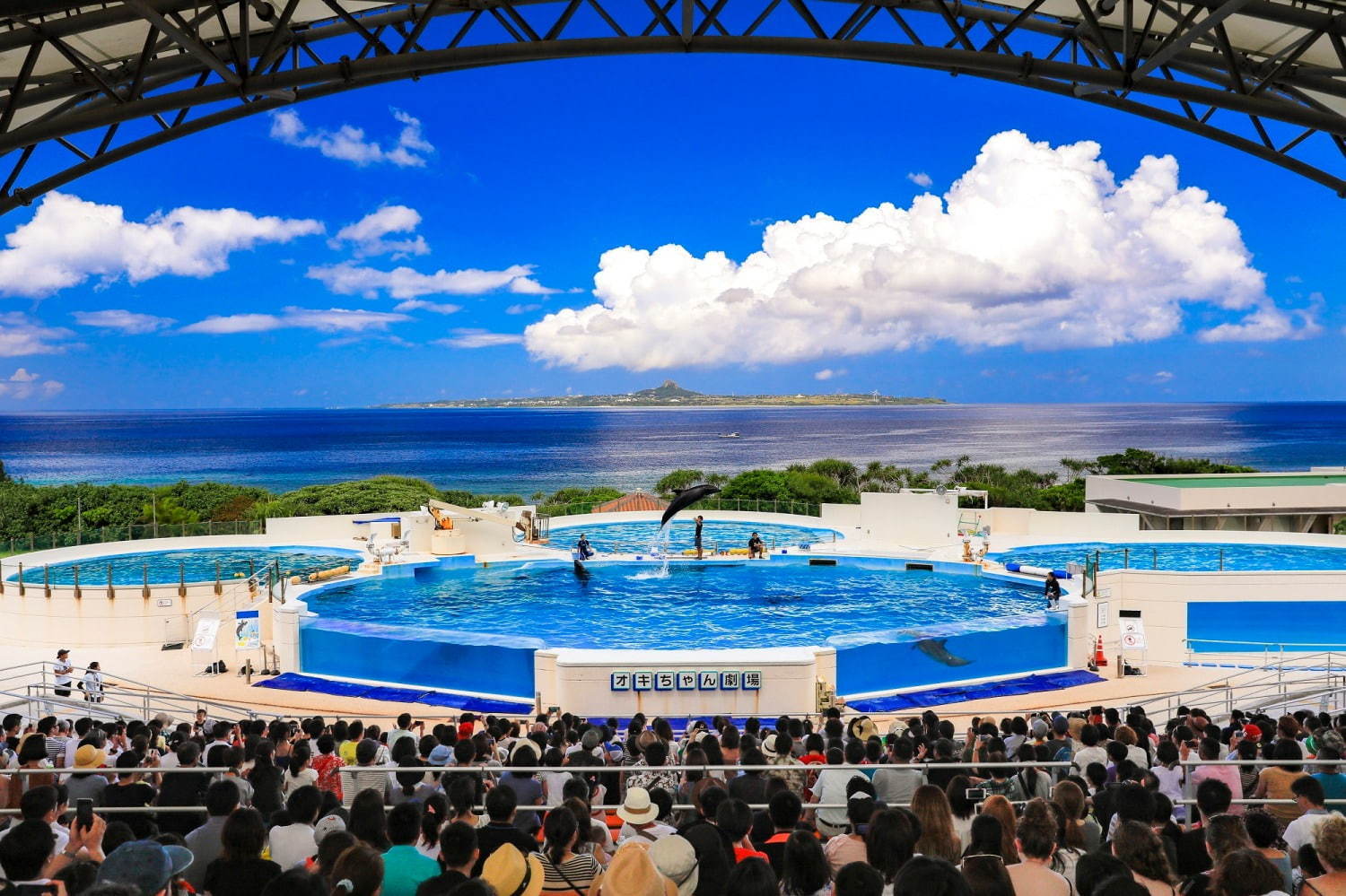 沖縄美ら海水族館＆周辺見どころガイド、ジンベエザメを世界最大級の水槽で鑑賞！アクセス方法も紹介｜写真10