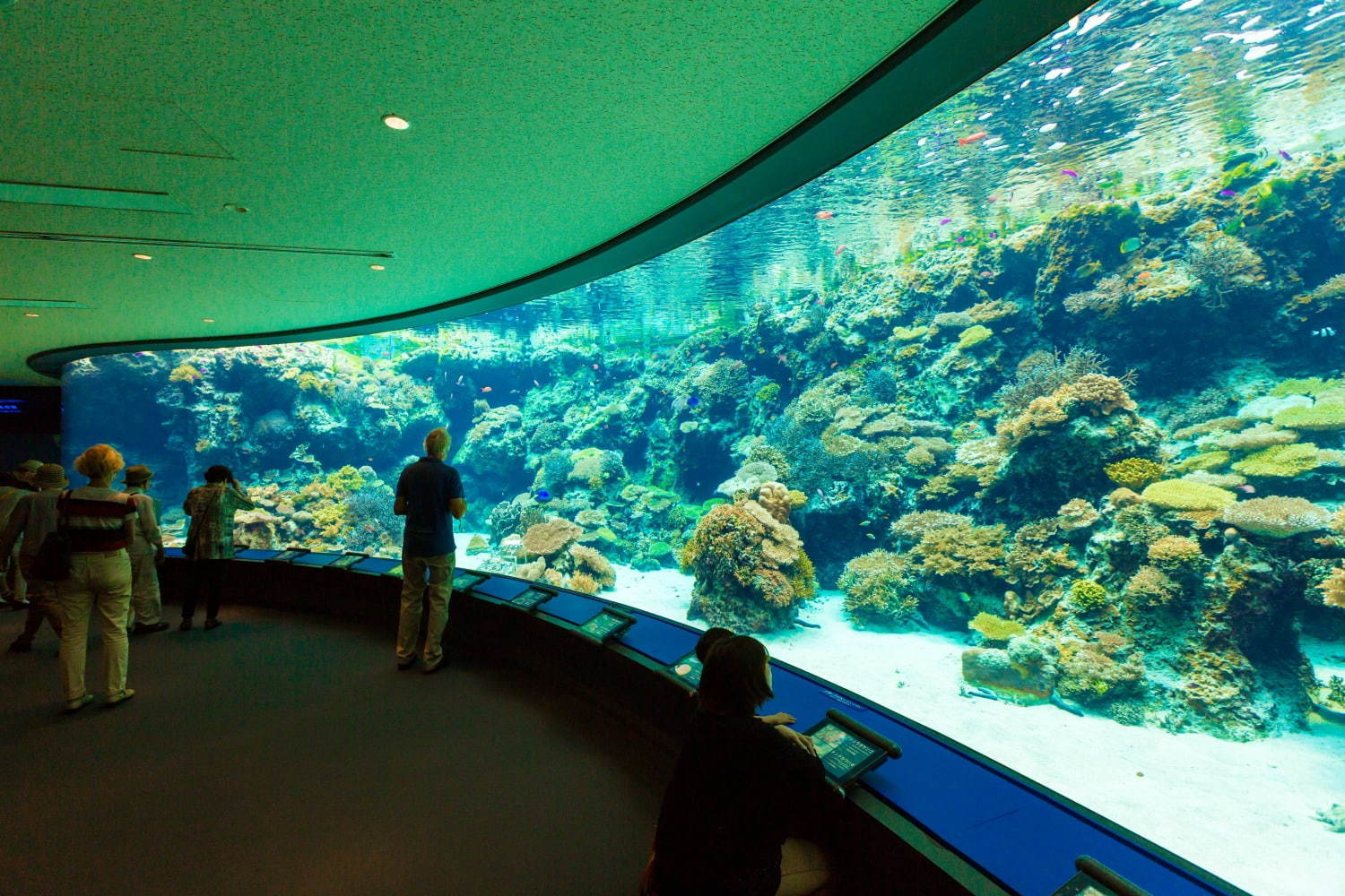 沖縄美ら海水族館の絶景｜ZEKKEI Japan