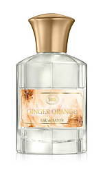 サボン(SABON) ジンジャー・オレンジ｜写真8