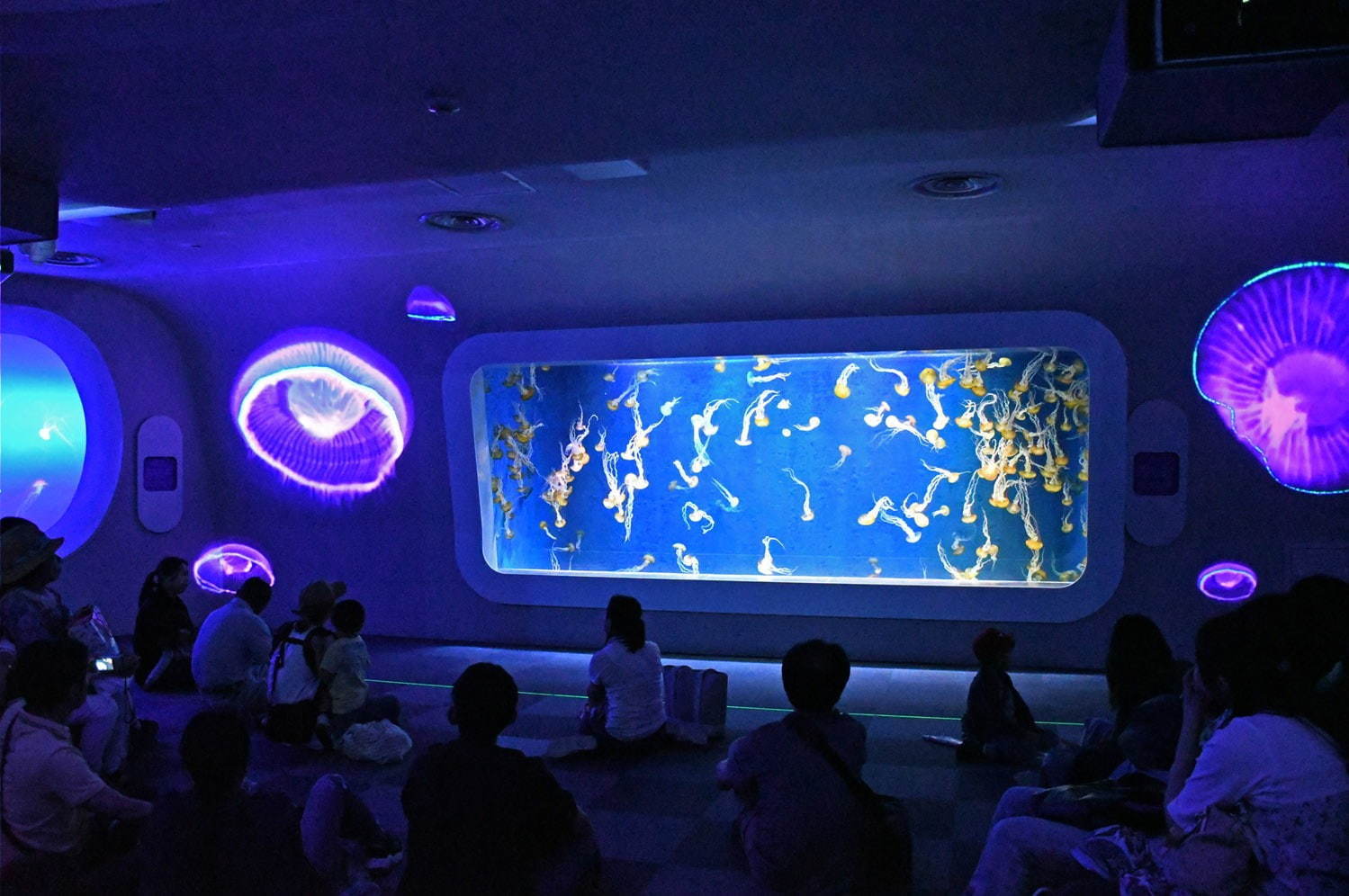 新江ノ島水族館「えのすいワンダーアクアリウム 2019」彩りの秋＆ハロウィンを海の生き物×光で表現｜写真3