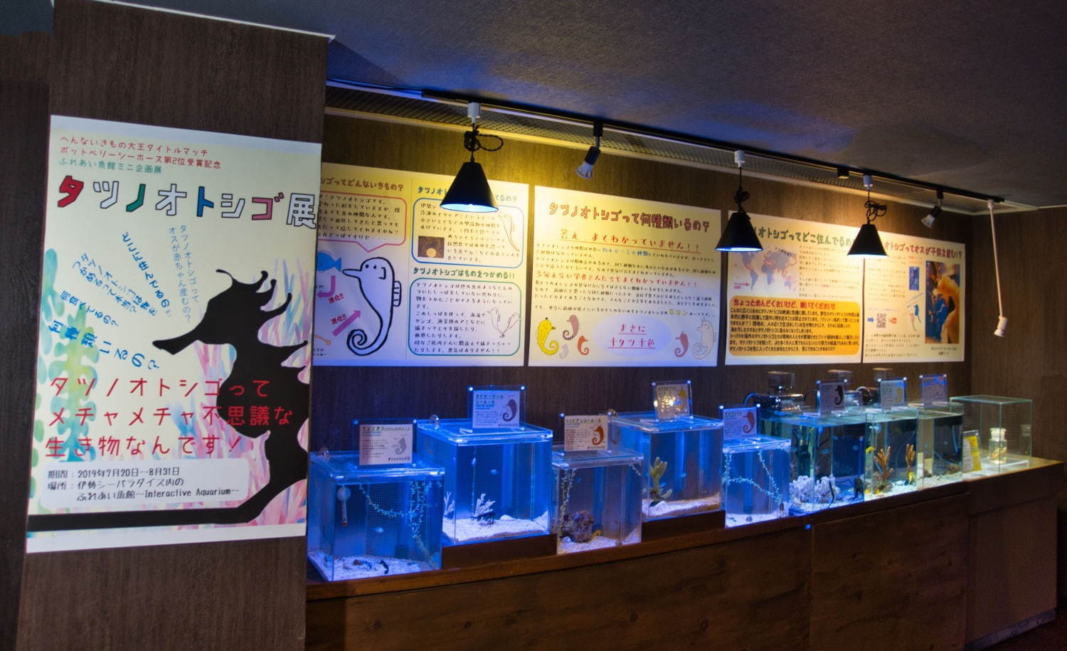 伊勢シーパラダイス“距離感ゼロ”のふれあい夏イベント、アザラシのひざ枕＆抱きつき体験｜写真11