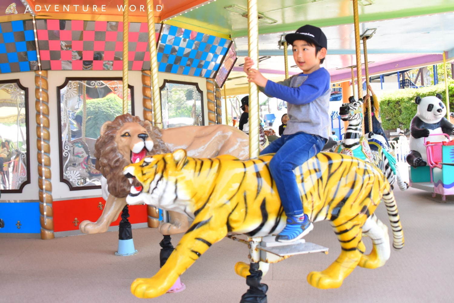 白浜「アドベンチャーワールド」7頭のパンダ家族がいる動物園や水族館、和歌山旅行に必見のアクセス方法も｜写真28