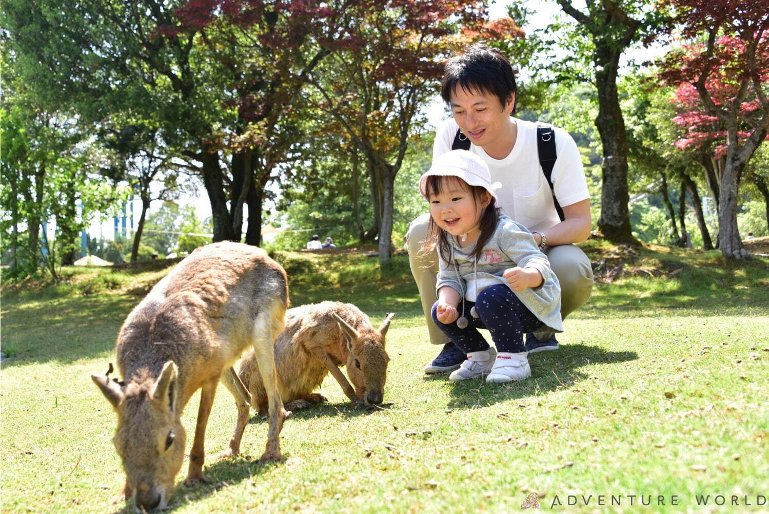 白浜「アドベンチャーワールド」7頭のパンダ家族がいる動物園や水族館、和歌山旅行に必見のアクセス方法も｜写真25