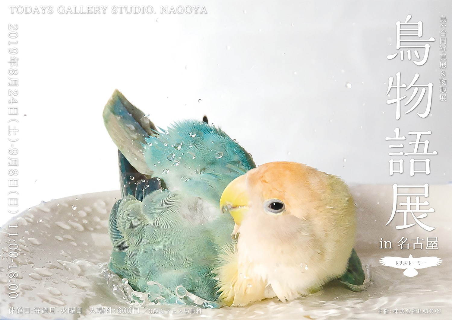 「鳥物語トリストーリー展」名古屋で、鳥の“一瞬の美しさ”を表した写真展＆ハンドメイドグッズ物販｜写真31