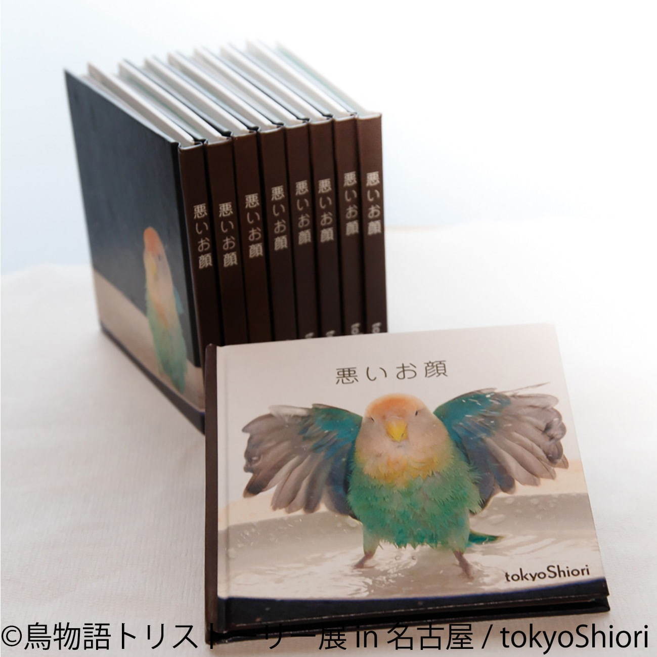 「鳥物語トリストーリー展」名古屋で、鳥の“一瞬の美しさ”を表した写真展＆ハンドメイドグッズ物販｜写真13