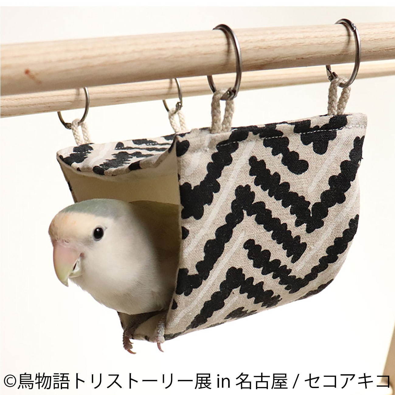 「鳥物語トリストーリー展」名古屋で、鳥の“一瞬の美しさ”を表した写真展＆ハンドメイドグッズ物販｜写真19