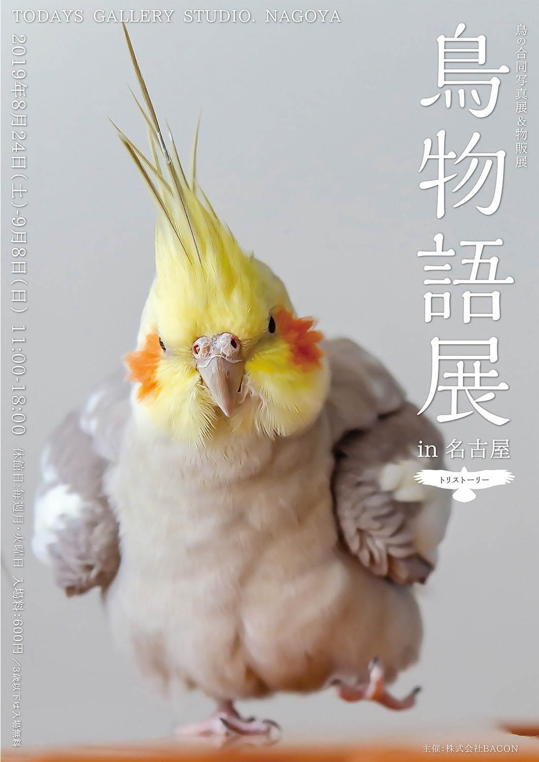 「鳥物語トリストーリー展」名古屋で、鳥の“一瞬の美しさ”を表した写真展＆ハンドメイドグッズ物販｜写真32