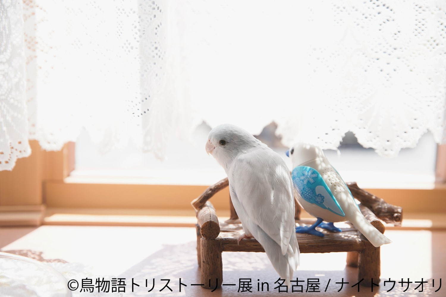 「鳥物語トリストーリー展」名古屋で、鳥の“一瞬の美しさ”を表した写真展＆ハンドメイドグッズ物販｜写真8