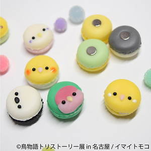 「鳥物語トリストーリー展」名古屋で、鳥の“一瞬の美しさ”を表した写真展＆ハンドメイドグッズ物販｜写真15