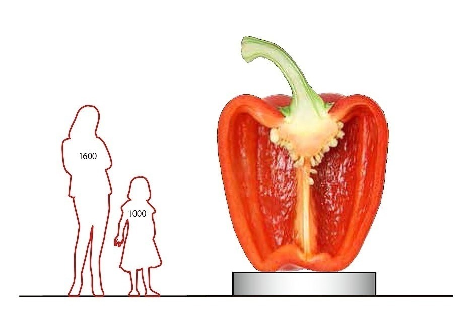 21_21 デザインサイト「野菜とデザイン」