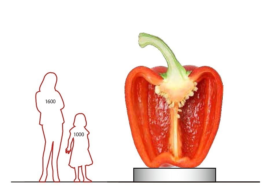 「野菜とデザイン」展が東京ミッドタウンで、栄養・おいしさを“デザインの視点”で切り取る｜写真1