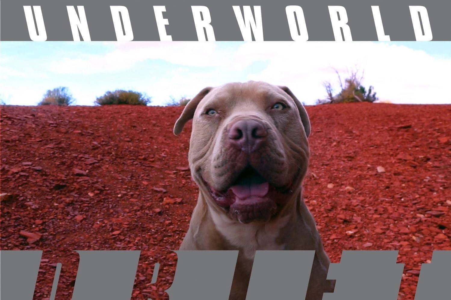 『ドリフト ソングス』