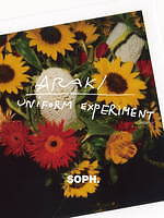 ユニフォーム エクスペリメント(uniform experiment) 花｜写真47