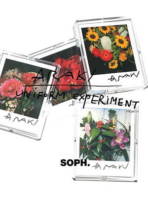 ユニフォーム エクスペリメント(uniform experiment) 花｜写真45