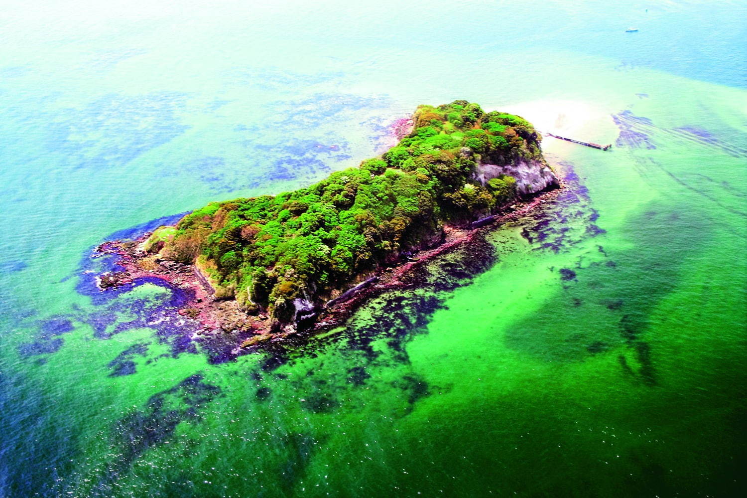 Sense Island 感覚の島 暗闇の美術島 横須賀 猿島で 夜の無人島でアート体験 ファッションプレス