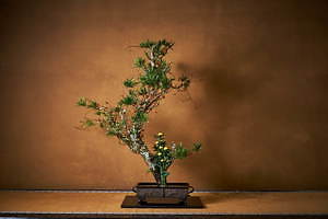 展覧会「いけばな×百段階段2019」ホテル雅叙園東京で - 日本画×生け花の饗宴、45流派が出展｜写真3