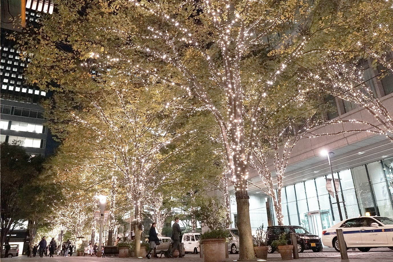 「丸の内イルミネーション2019」1.2kmの街路樹を約100万個の電球でライトアップ｜写真2