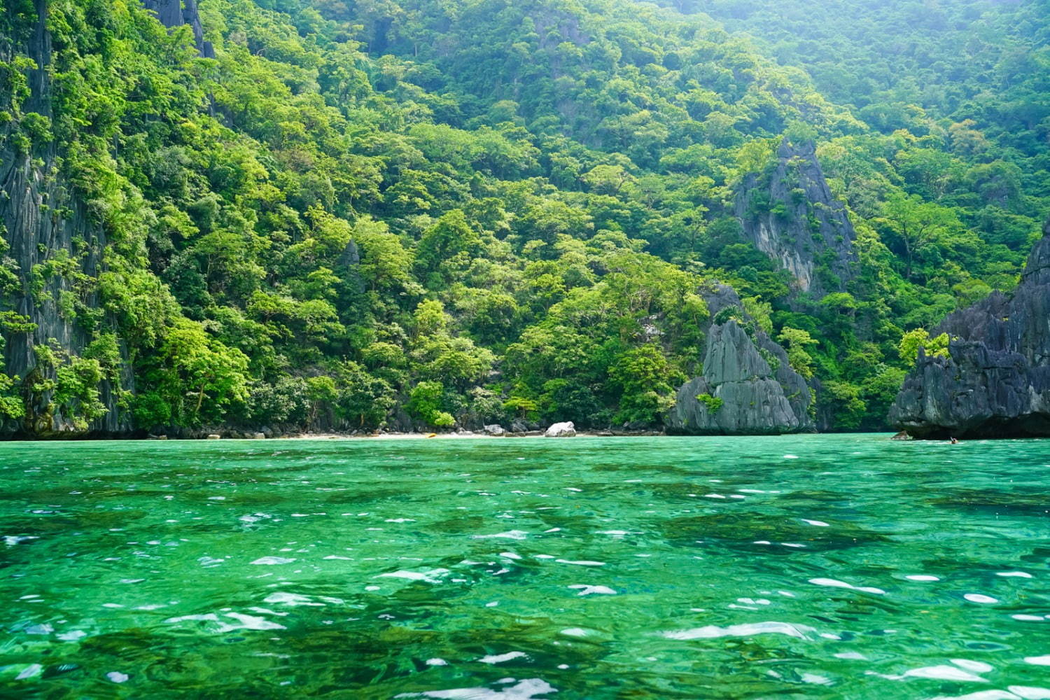 フィリピンの楽園「エルニド」最後の秘境と呼ばれるエメラルドグリーンの海とは？｜写真15