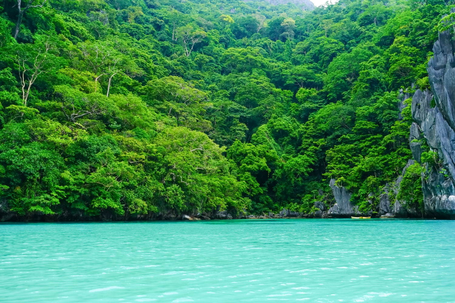 フィリピンの楽園「エルニド」最後の秘境と呼ばれるエメラルドグリーンの海とは？｜写真12