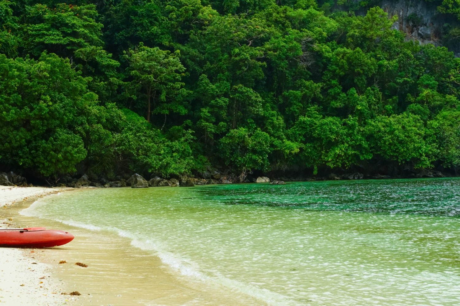 フィリピンの楽園「エルニド」最後の秘境と呼ばれるエメラルドグリーンの海とは？｜写真40