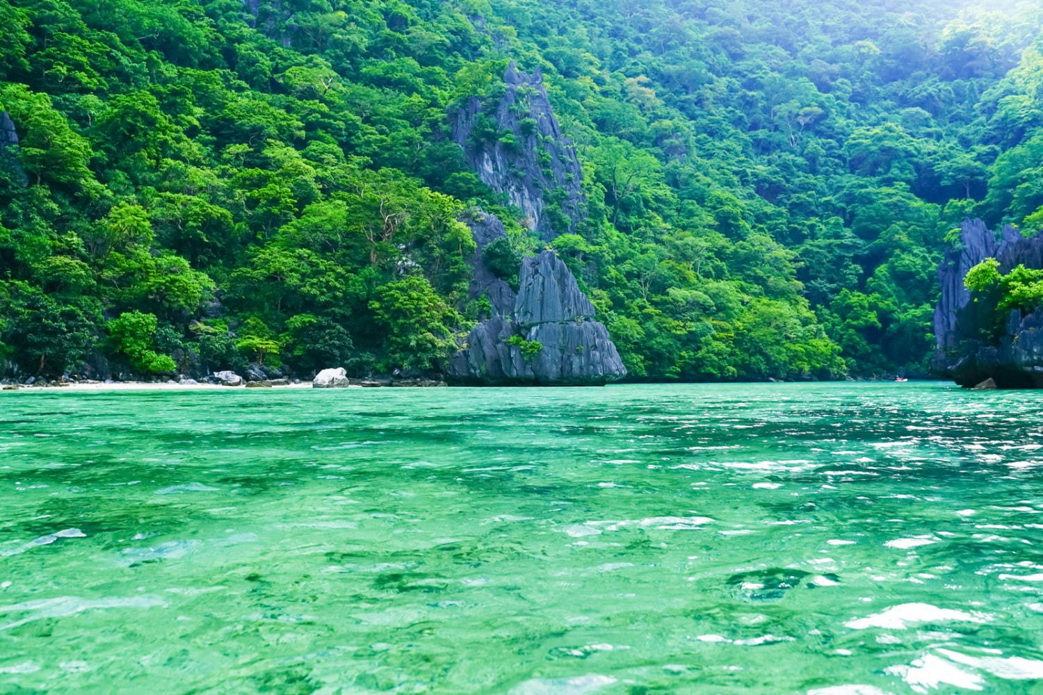 フィリピンの楽園「エルニド」最後の秘境と呼ばれるエメラルドグリーンの海とは？｜写真5