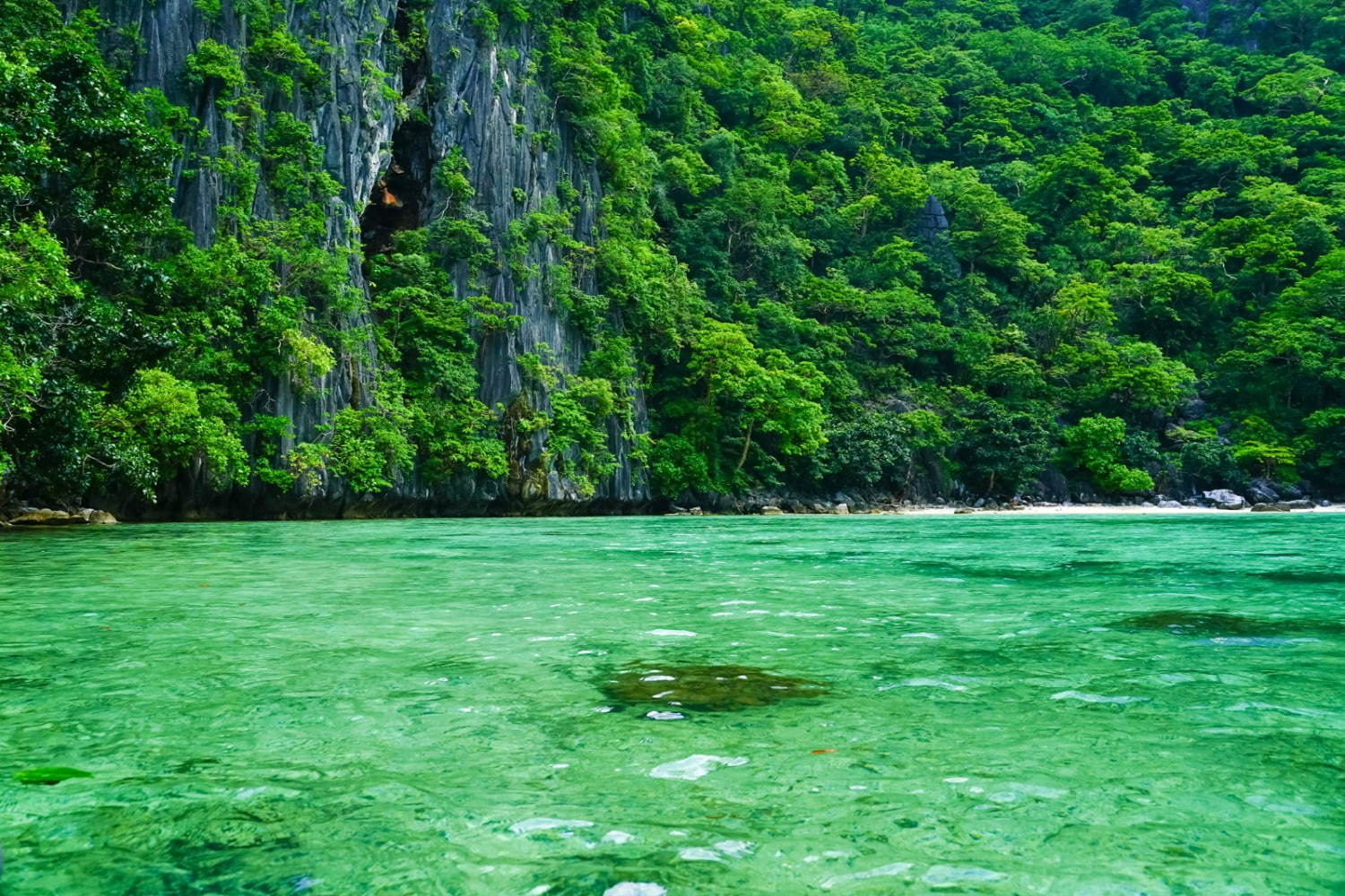 フィリピンの楽園「エルニド」最後の秘境と呼ばれるエメラルドグリーンの海とは？｜写真6
