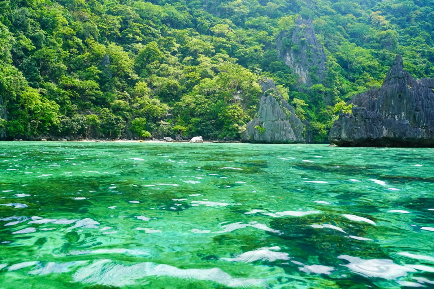 フィリピンの楽園「エルニド」最後の秘境と呼ばれるエメラルドグリーンの海とは？｜写真13
