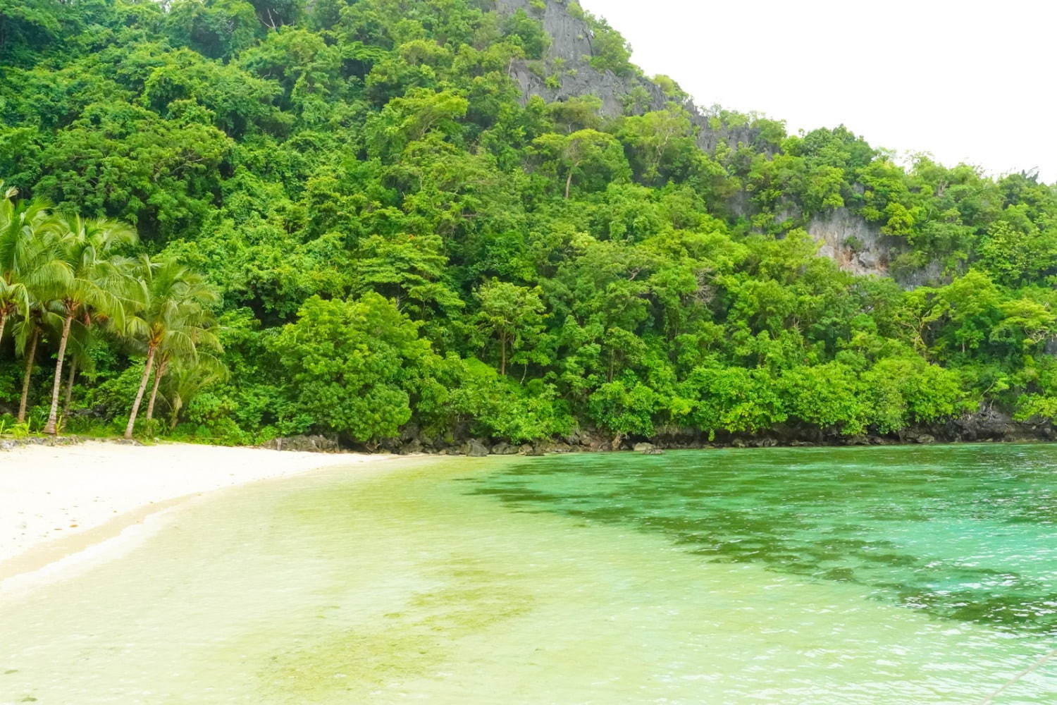 フィリピンの楽園「エルニド」最後の秘境と呼ばれるエメラルドグリーンの海とは？｜写真39