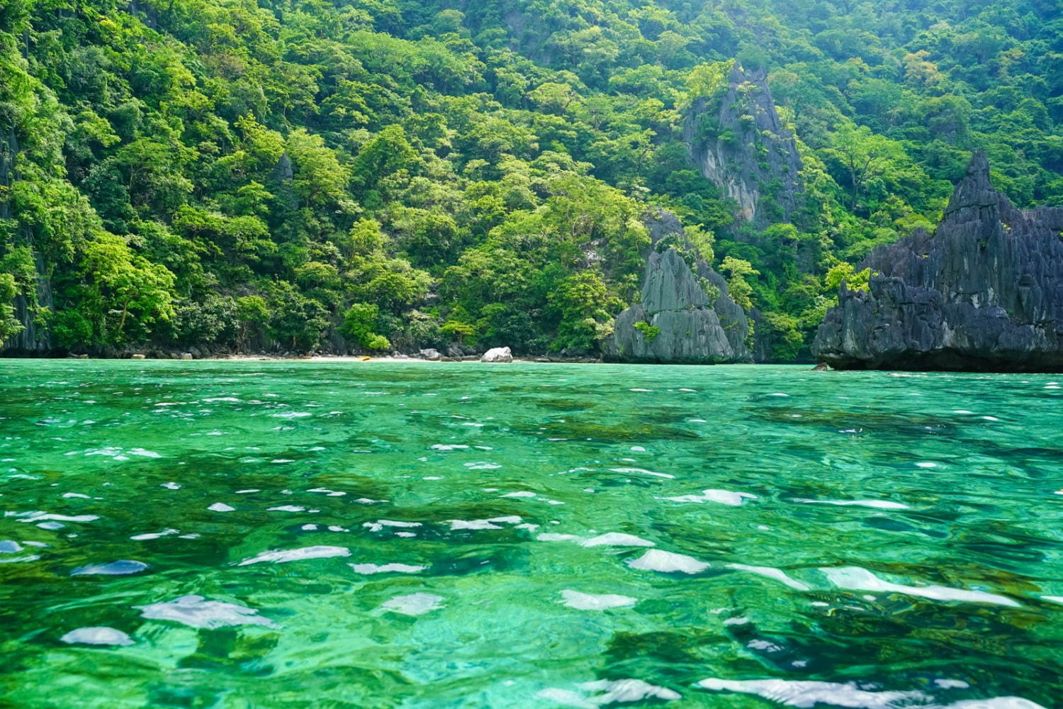 フィリピンの楽園「エルニド」最後の秘境と呼ばれるエメラルドグリーンの海とは？｜写真14