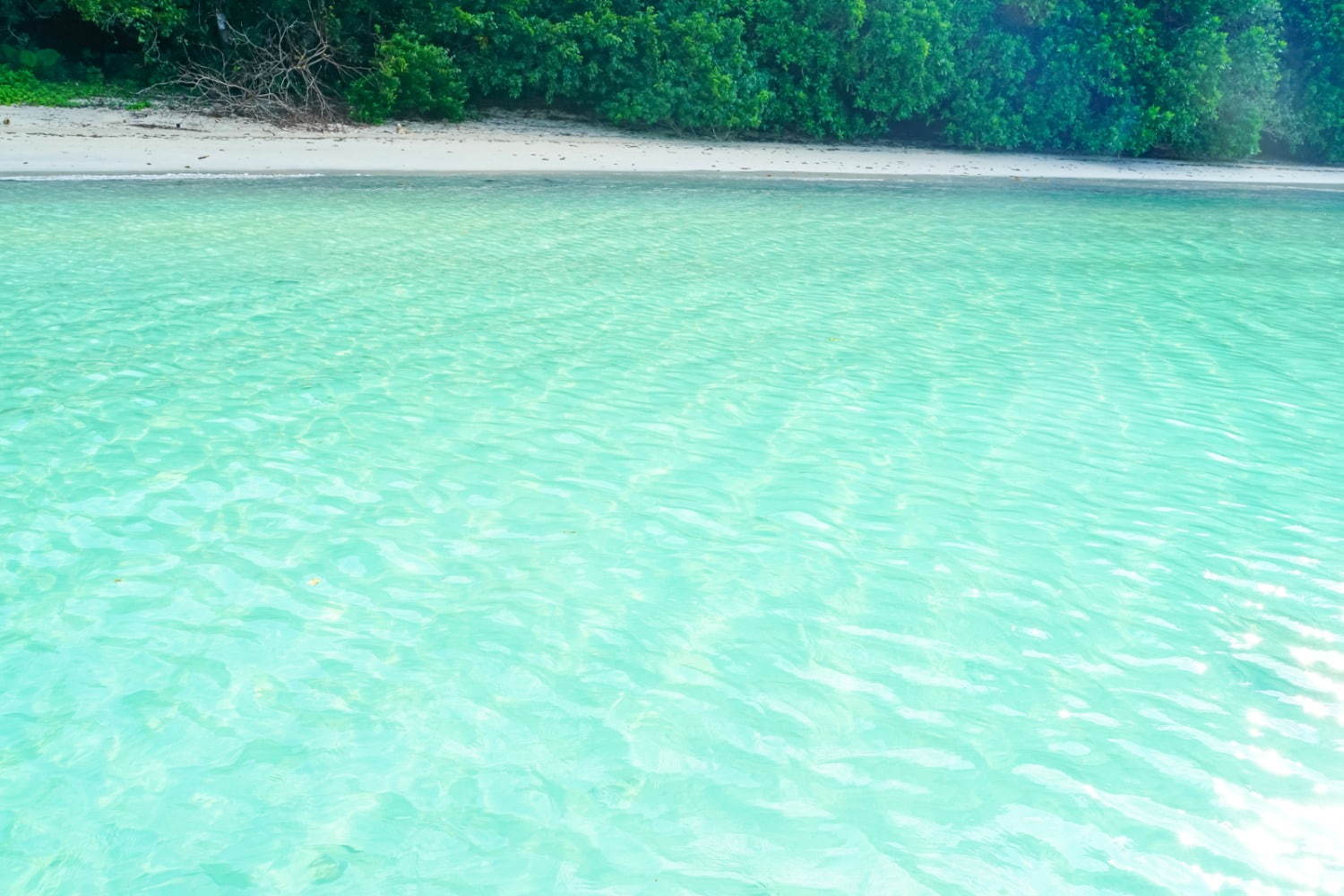 フィリピンの楽園「エルニド」最後の秘境と呼ばれるエメラルドグリーンの海とは？｜写真37