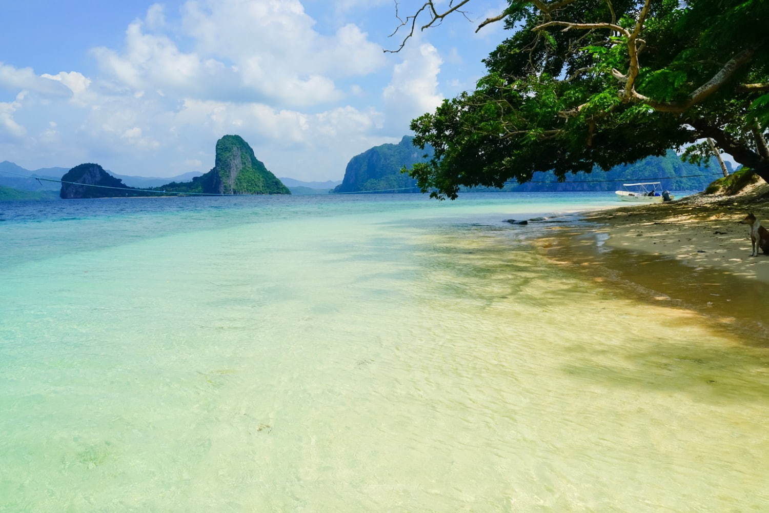 フィリピンの楽園「エルニド」最後の秘境と呼ばれるエメラルドグリーンの海とは？｜写真31