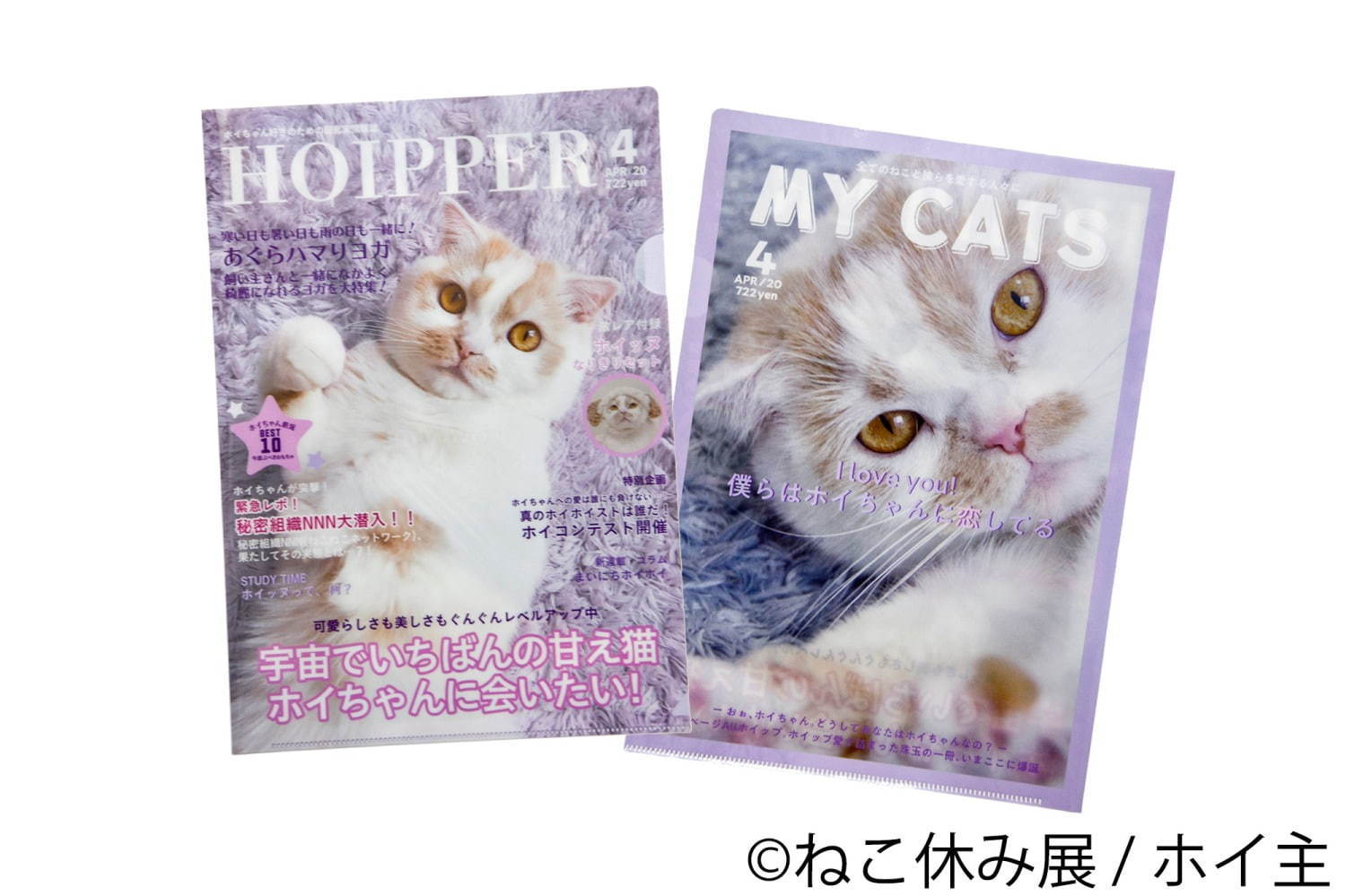 猫の合同写真展＆物販展「ねこ休み展 秋 2019」名古屋で、猫の抜け毛アートや新作ぬいぐるみ｜写真71