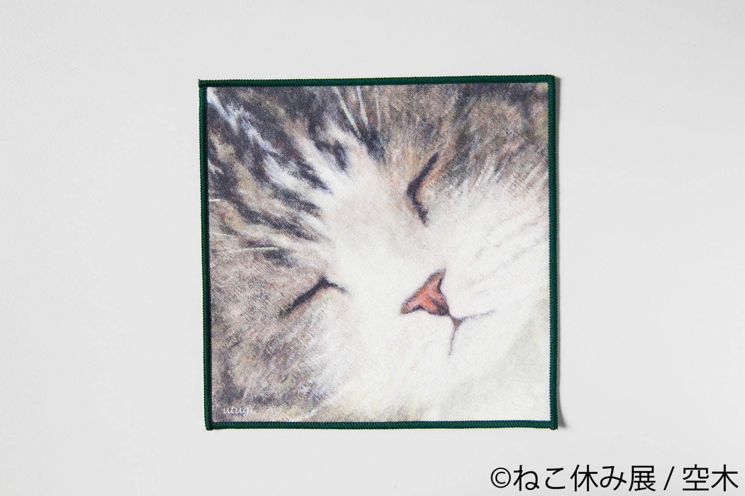 猫の合同写真展＆物販展「ねこ休み展 秋 2019」名古屋で、猫の抜け毛アートや新作ぬいぐるみ｜写真78