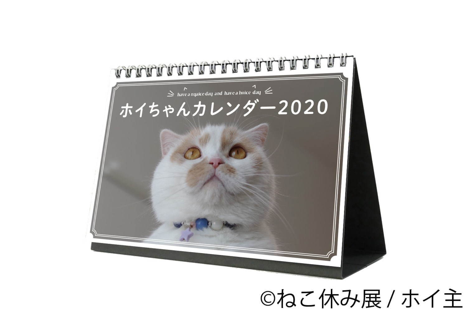 猫の合同写真展＆物販展「ねこ休み展 秋 2019」名古屋で、猫の抜け毛アートや新作ぬいぐるみ｜写真70