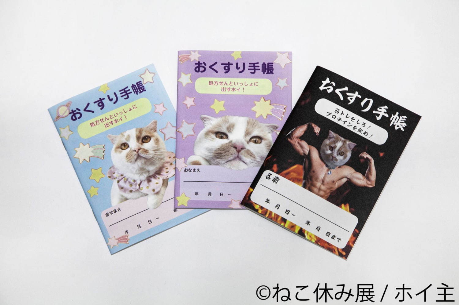 猫の合同写真展＆物販展「ねこ休み展 秋 2019」名古屋で、猫の抜け毛アートや新作ぬいぐるみ｜写真73