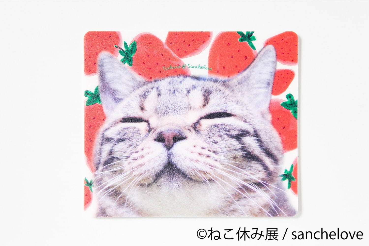 猫の合同写真展＆物販展「ねこ休み展 秋 2019」名古屋で、猫の抜け毛アートや新作ぬいぐるみ｜写真55