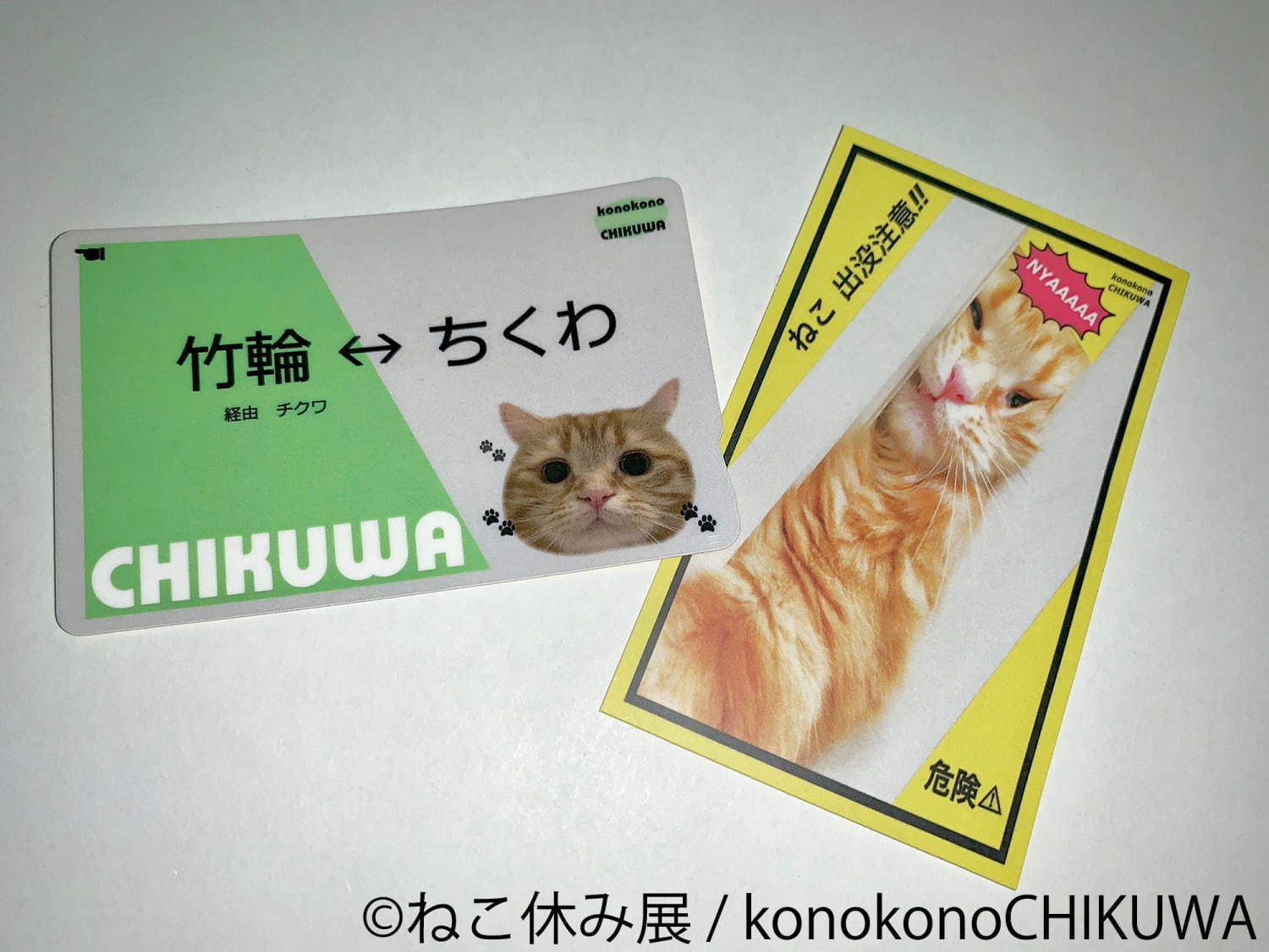 猫の合同写真展＆物販展「ねこ休み展 秋 2019」名古屋で、猫の抜け毛アートや新作ぬいぐるみ｜写真33