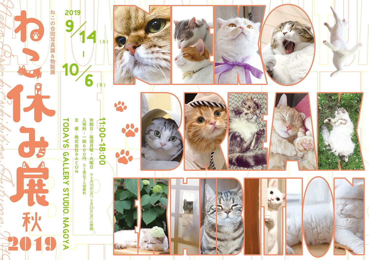 猫の合同写真展＆物販展「ねこ休み展 秋 2019」名古屋で、猫の抜け毛アートや新作ぬいぐるみ｜写真108