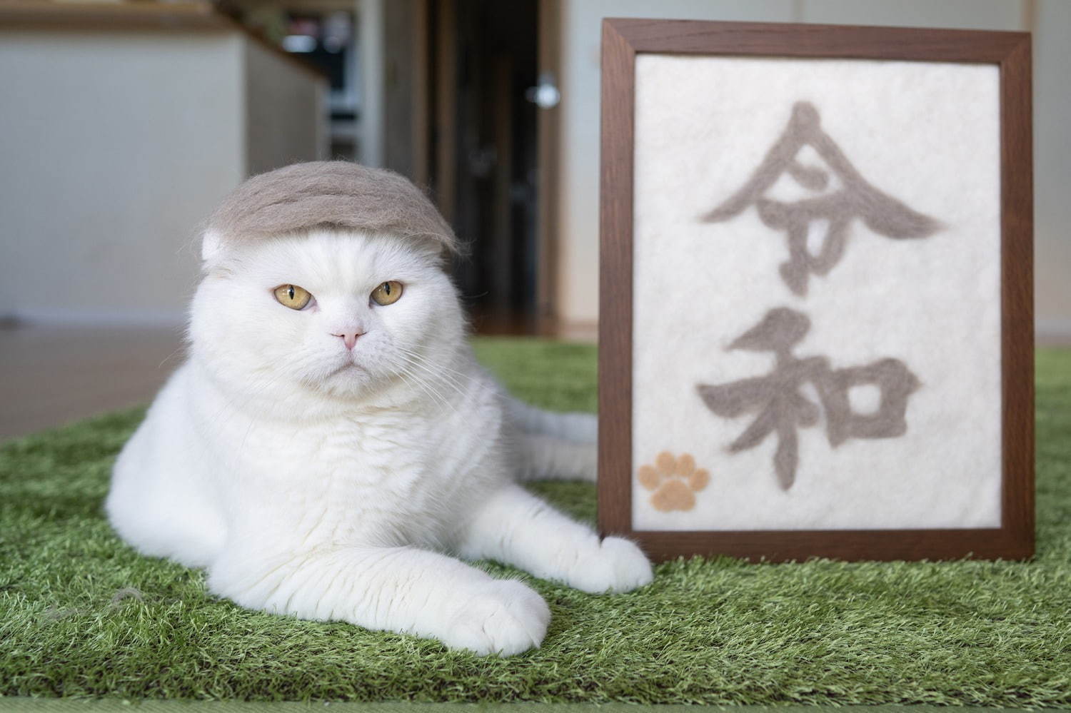 「ねこ休み展 秋 2019」