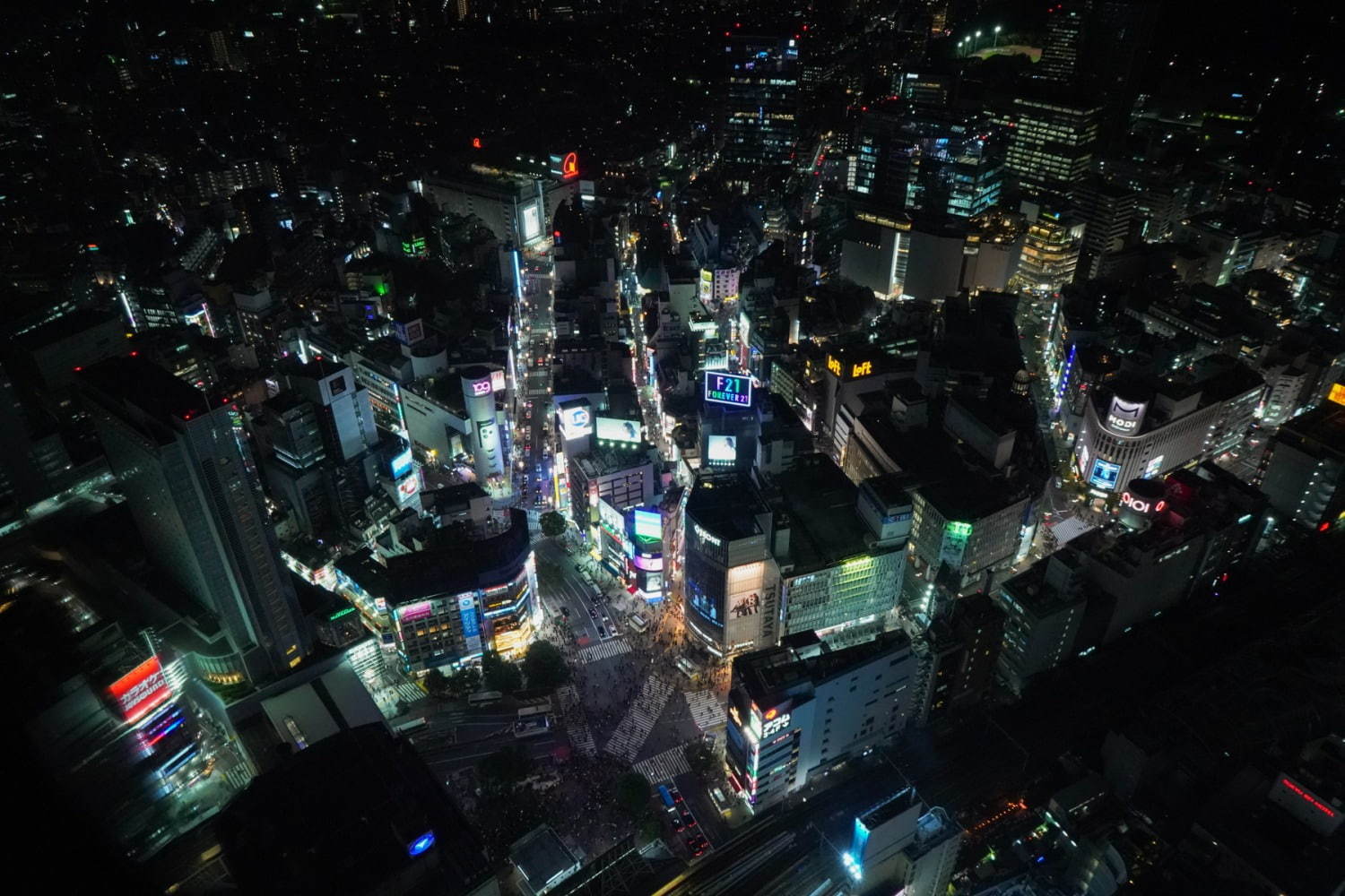 渋谷スクランブルスクエアの展望台「渋谷スカイ」地上約230m日本最大級の屋上天望空間、音楽バーも｜写真6