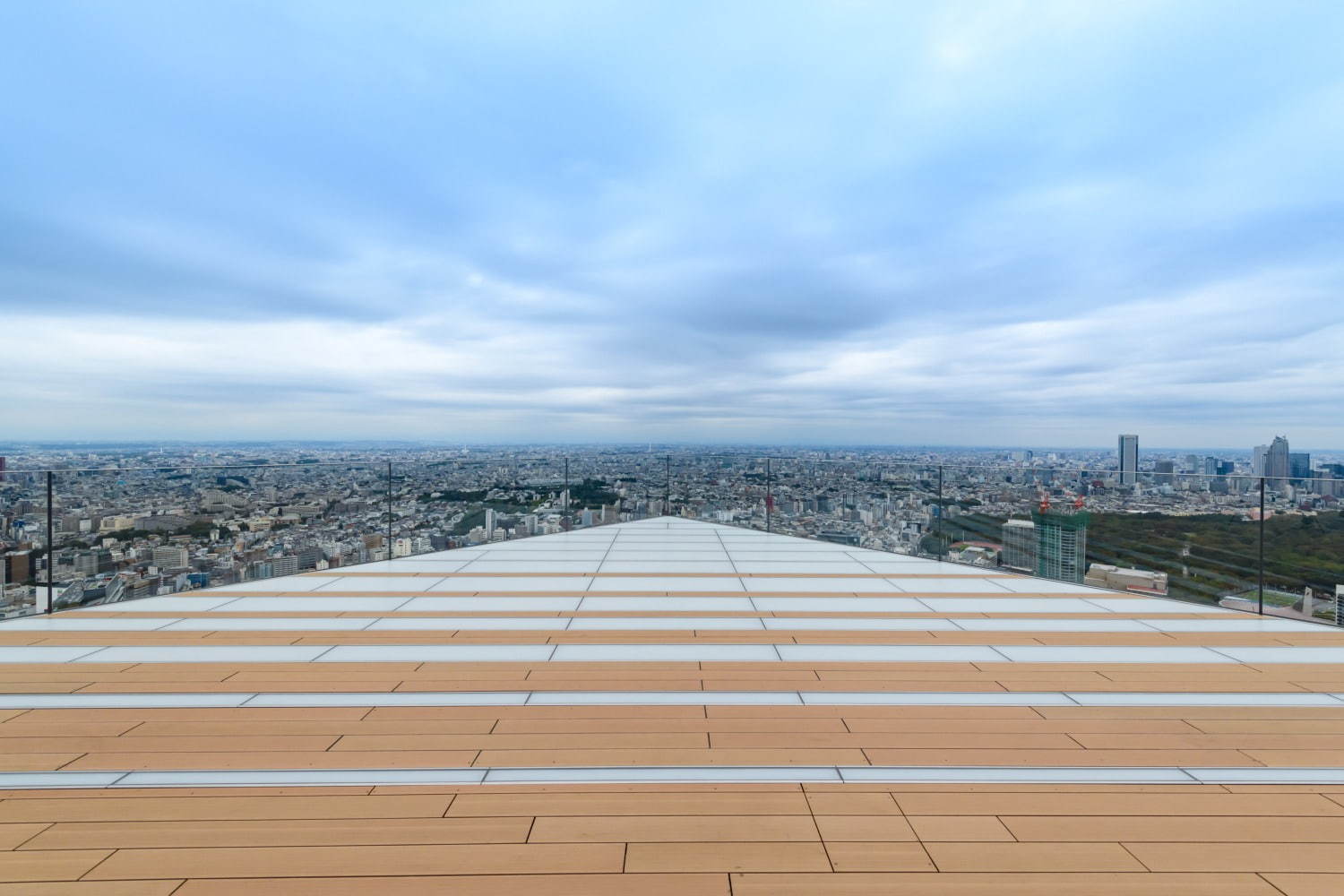 渋谷スクランブルスクエアの展望台「渋谷スカイ」地上約230m日本最大級の屋上天望空間、音楽バーも｜写真37