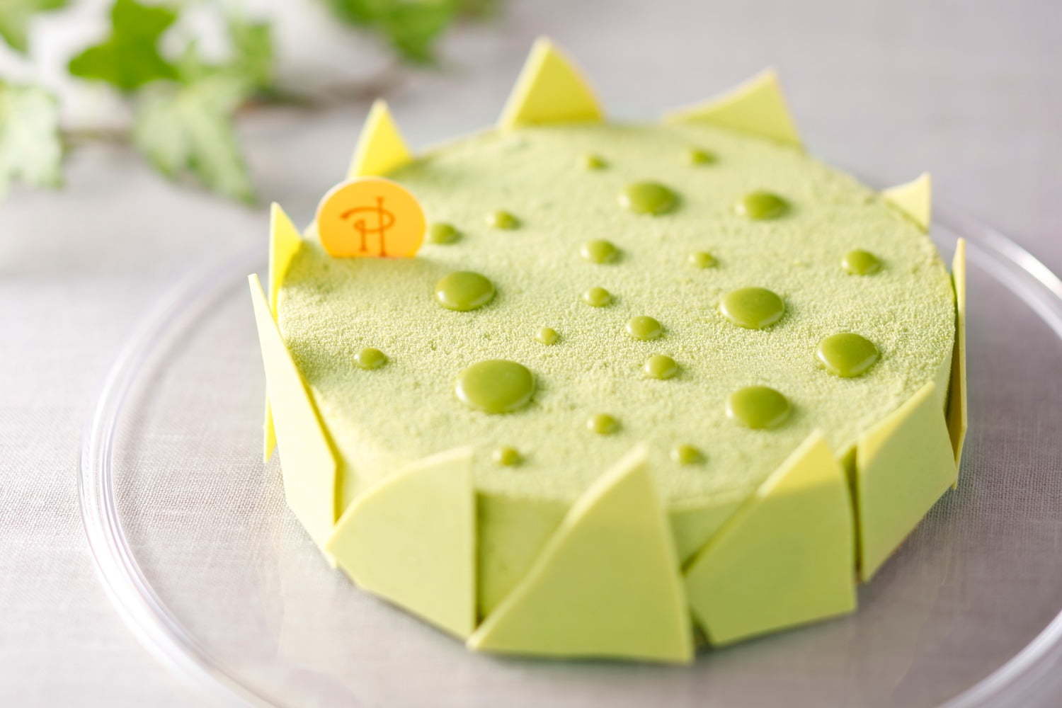 ピエール エルメ パリ 抹茶 あずき のチーズケーキ ホテルニューオータニ 東京 限定発売 ファッションプレス ピエール エルメ パリ 抹茶 あずき のチーズケーキ ホテルニューオータニ 東京 限定発売 ファッションプレス