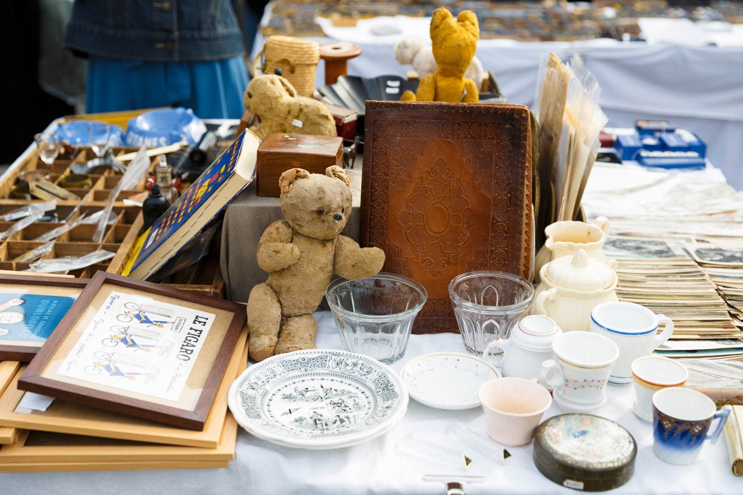 国営昭和記念公園「第16回東京蚤の市」