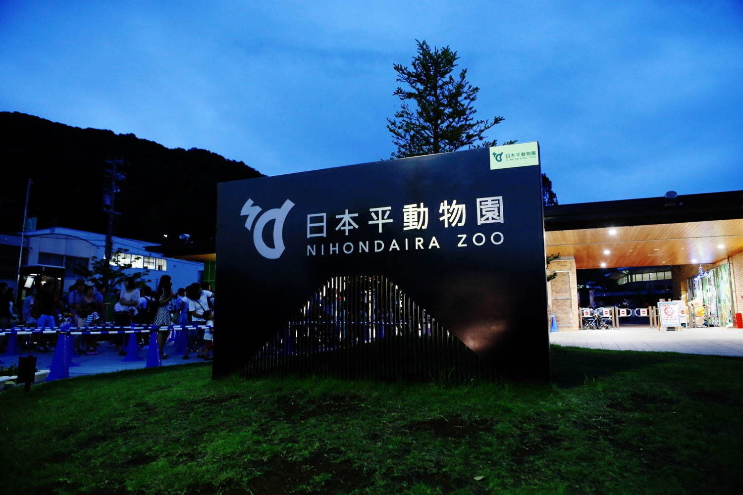 「夜の動物園」静岡市立日本平動物園で“レッサーパンダ”などの夜の姿を観察、イルミネーションも｜写真3