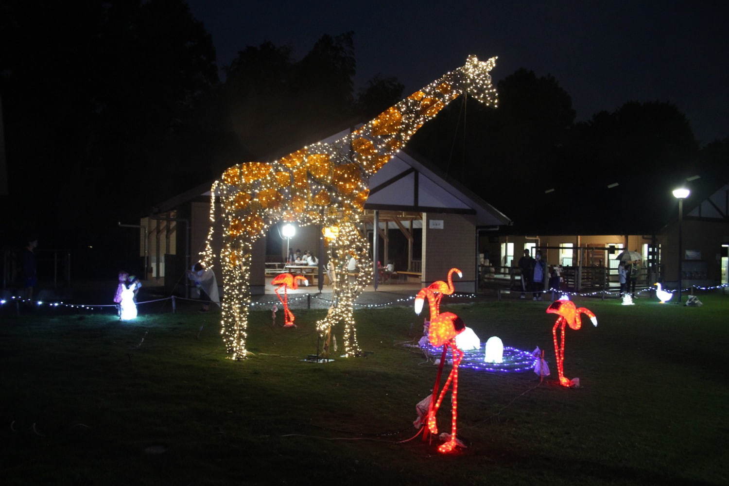 「夜の動物園」静岡市立日本平動物園で“レッサーパンダ”などの夜の姿を観察、イルミネーションも｜写真2