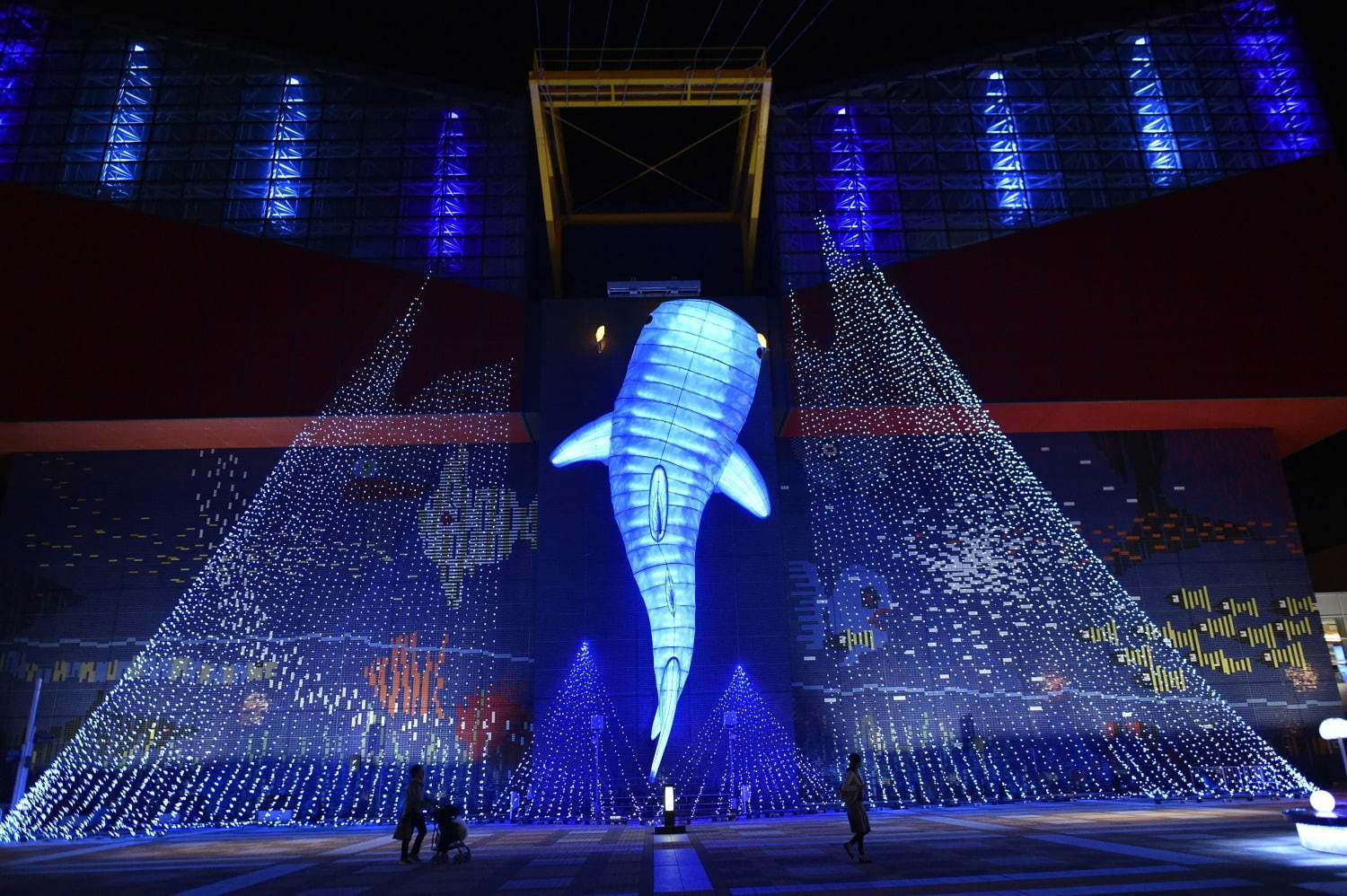 「海遊館」冬イルミネーション、約20メートルのジンベエザメ巨大オブジェが登場
