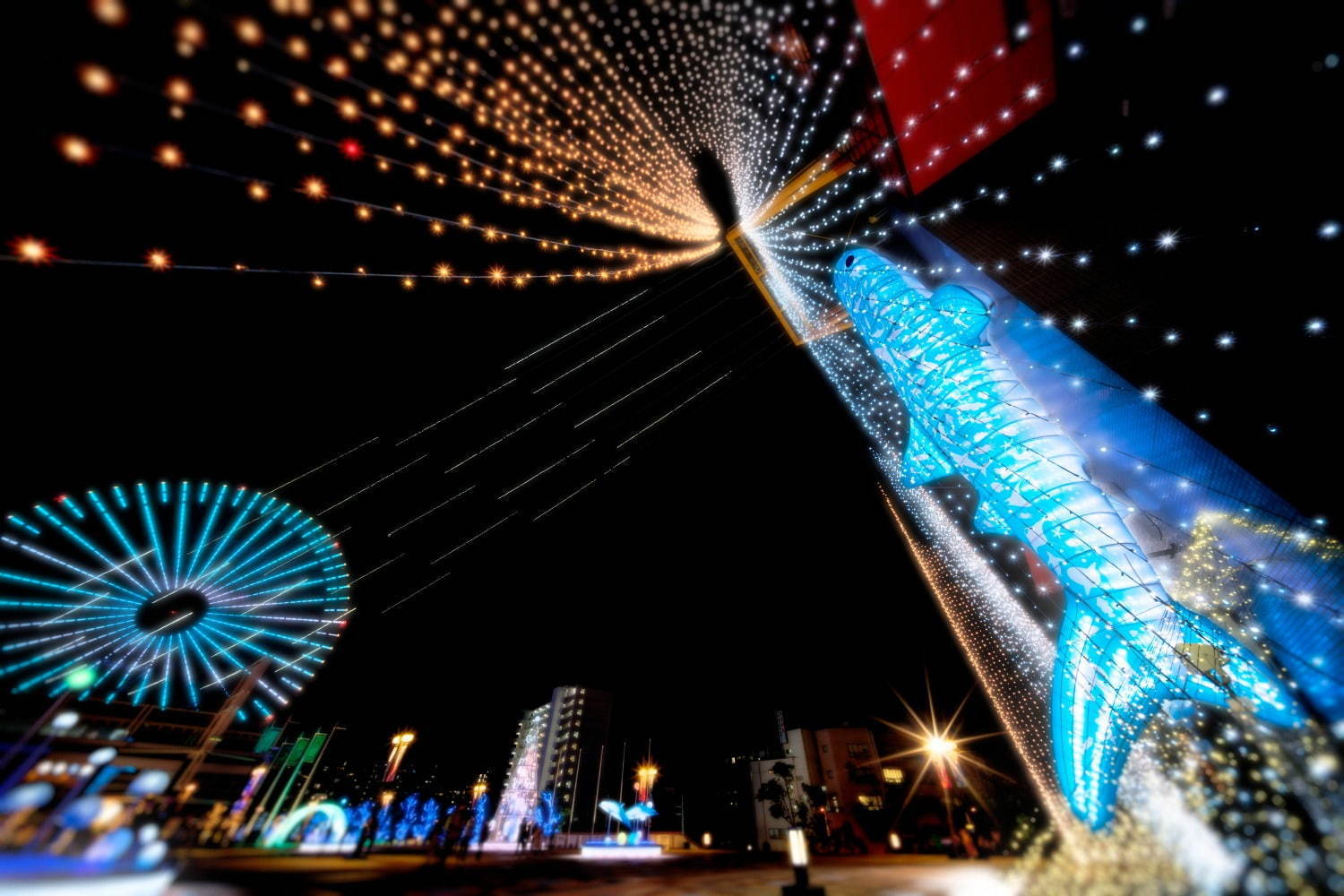 大阪「海遊館」の冬イルミネーション、約20メートルのジンベエザメ巨大オブジェ＆光の演出｜写真5